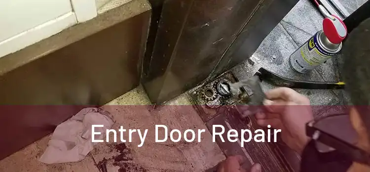 Entry Door Repair